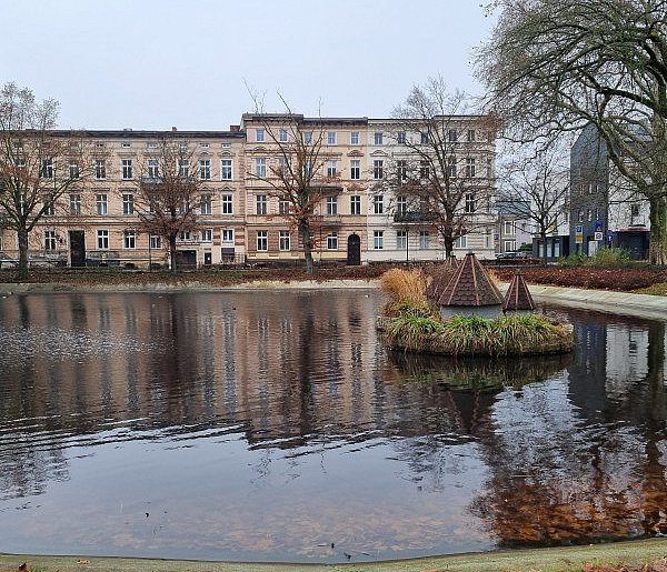 Czy łabędzie wrócą do parku na placu Kościuszki w Lesznie?-81724