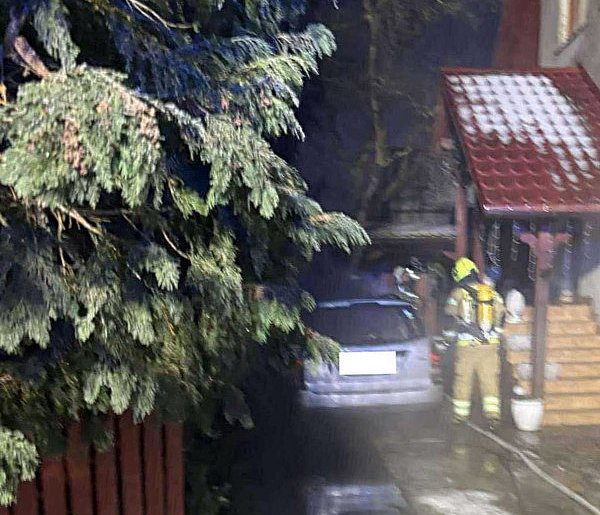 Spalił się ford focus. Auto stało na posesji (zdjęcia)-82231