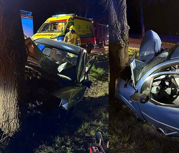 Dziewiętnastolatka wjechała autem w drzewo. Trafiła do szpitala (zdjęcia)