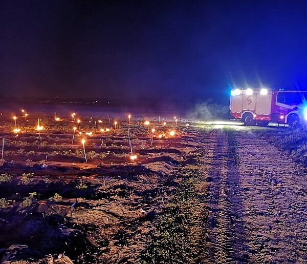 Pojechali do pożaru, a zastali ogrzewane truskawki (zdjęcia)