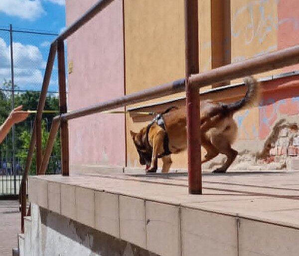 Alarmy bombowe w szkołach. 850 ewakuowanych osób (zdjęcia, film)
