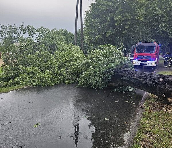 Wiatr łamał drzewa i gałęzie. Było niebezpiecznie (zdjęcia)