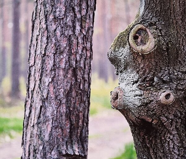 Piękne ujęcia spoza Leszna w obiektywie Leszka Plitta (zdjęcia)