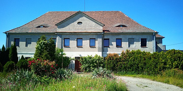 Dwór z XIX w. na sprzedaż - Wyciążkowo, Lipno-78367