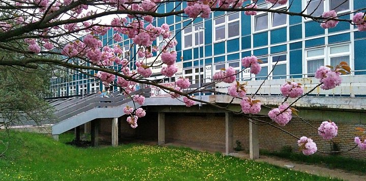 Co dalej z odzwiedzinami w szpitalu w Lesznie?