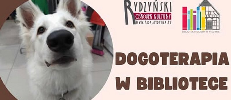 Dogoterapia w bibliotece w Rydzynie