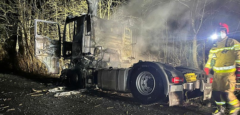 Spalił się ciągnik siodłowy, który wjechał w drzewo (zdjęcia, film)