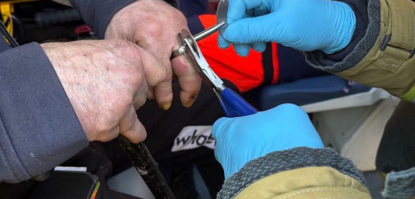 Palec był w niebezpieczeństwie, trzeba było wezwać strażaków (zdjęcia)