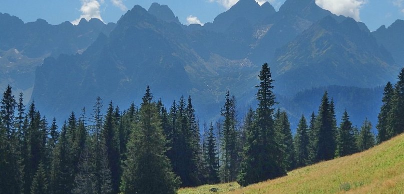 Rodzinne wakacje na Podhalu: moc atrakcji dla dorosłych i dzieci
