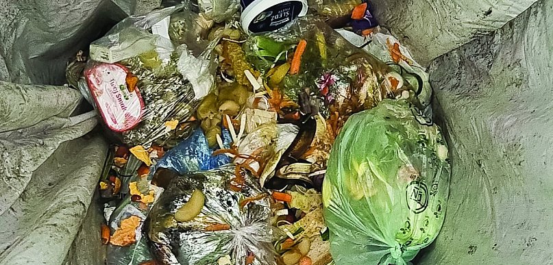 Wielka moc bioodpadów! Jak zmieniają się w cenny kompost