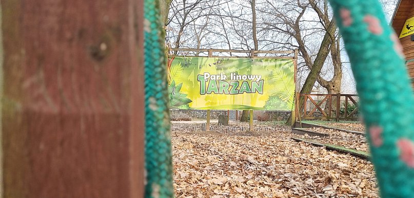 Miejski Zakład Zieleni zdecydował o przyszłości parku linowego