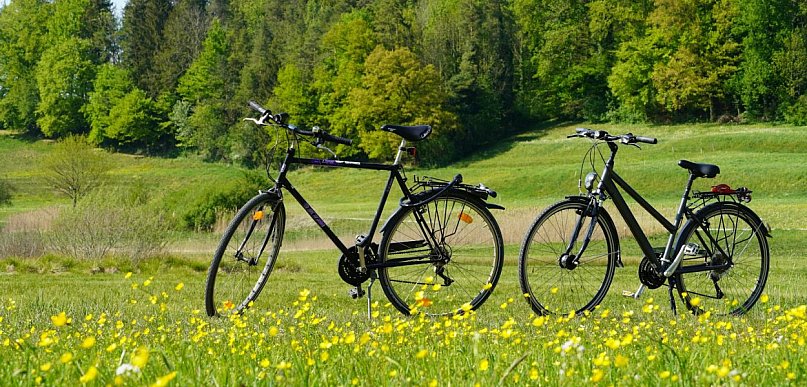 Na co zwrócić uwagę przy wyborze roweru trekkingowego damskiego? 6 parametrów