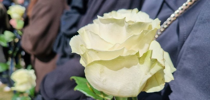 Piękne słowa o Tomku Smektale. Zjednoczył wiele serc