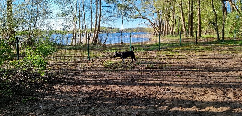 W Boszkowie powstaje plaża dla wczasowiczów z psami (zdjęcia)