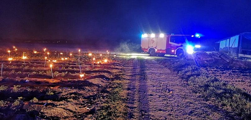 Pojechali do pożaru, a zastali ogrzewane truskawki (zdjęcia)