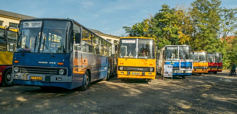 Dokumentacja bez tajemnic – jakie zaświadczenia przy kasacji autobutobusu?
