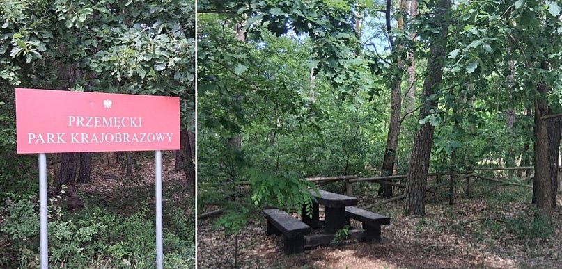 Nowe atrakcje w powiecie leszczyńskim: wieża widokowa, kładka i szlak