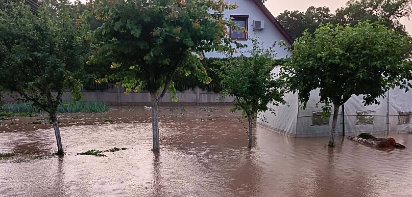 Drzewo przygniotło 15-latka. Prąd śmiertelnie poraził konia (zdjęcia)