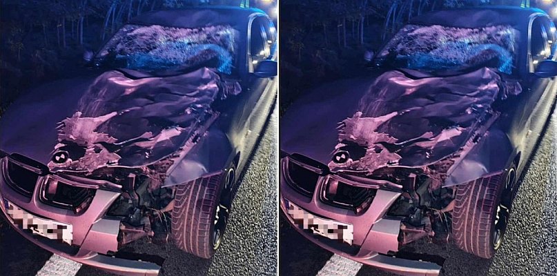 Jeleń uderzył w rozpędzone bmw. Zwierzę nie przeżyło tego wypadku - 78423