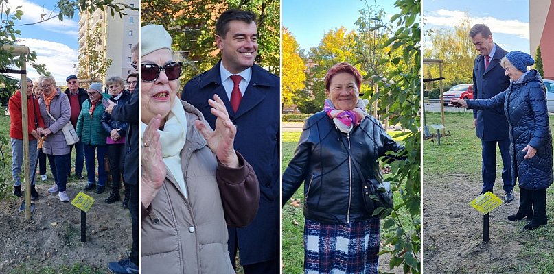 Linkus, Danusia, Halinka, Seniorita i Stasiu. Rosną w Lesznie (zdjęcia, film) - 79479