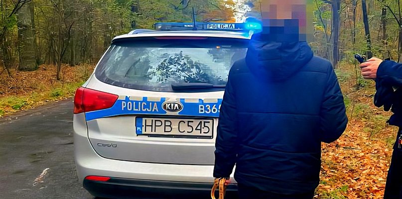 Zgubiła się w lesie na grzybobraniu. Kto włączył sygnały podpowiadające drogę? - 79718
