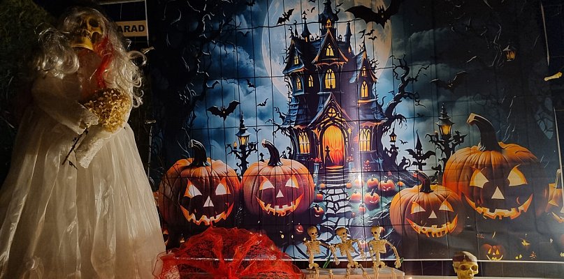 W tym ogrodzie w Lesznie naprawdę straszy (zdjęcia, film) - 79877