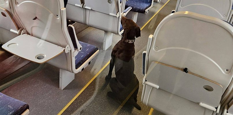 Policyjne psy szukały narkotyków i ładunków wybuchowych w Polregio (zdjęcia)