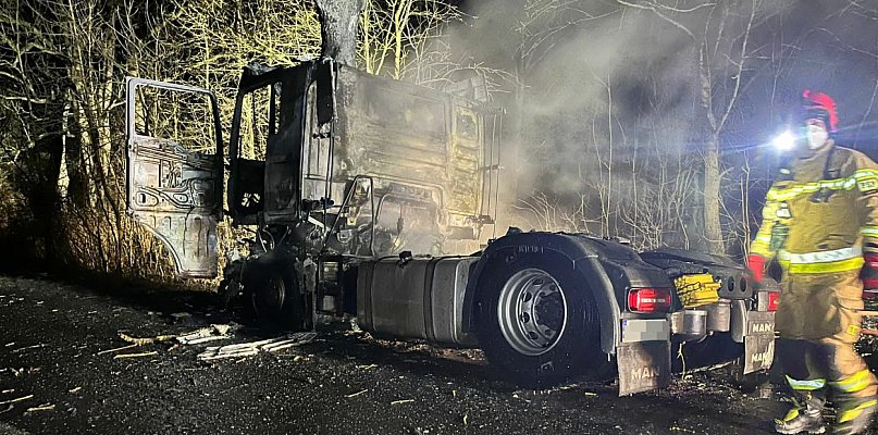 Spalił się ciągnik siodłowy, który wjechał w drzewo (zdjęcia, film)