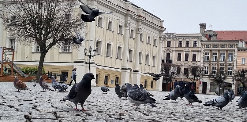 Jak będzie wyglądał Rynek w Lesznie. Mamy projekt!