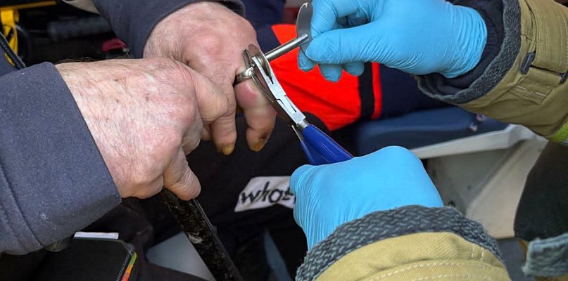 Palec był w niebezpieczeństwie, trzeba było wezwać strażaków (zdjęcia)