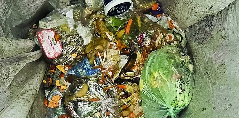 Wielka moc bioodpadów! Jak zmieniają się w cenny kompost i czemu jeszcze mogą się