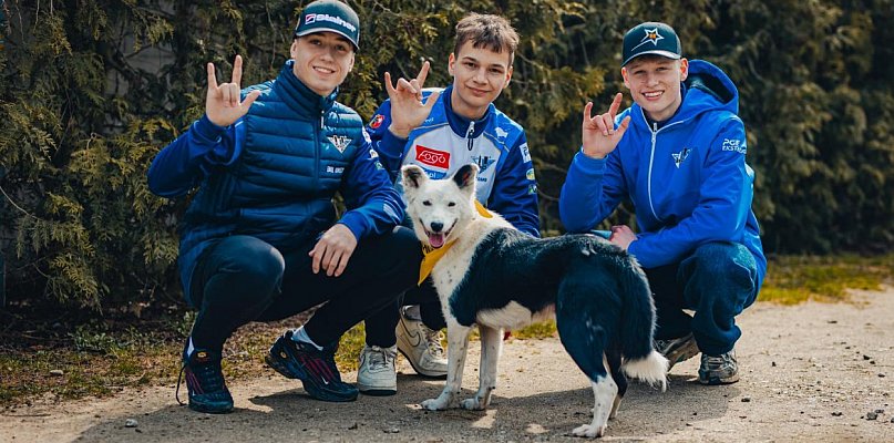 Klub i sponsor zachęcają kibiców żużla do przemyślanej adopcji czworonogów