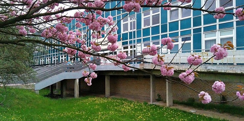 Co dalej z odzwiedzinami pacjentów w szpitalu w Lesznie?