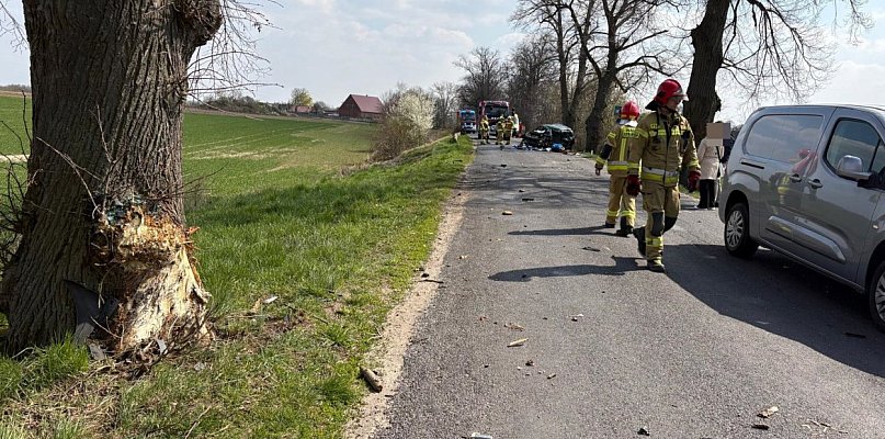 Policja ustala przyczyny wypadku w okolicach Witosławia (zdjęcia)