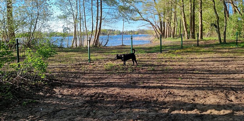 W Boszkowie powstaje plaża dla wczasowiczów z psami (zdjęcia)