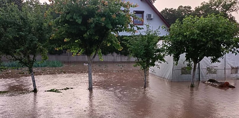 Drzewo przygniotło 15-latka. Prąd śmiertelnie poraził konia (zdjęcia)