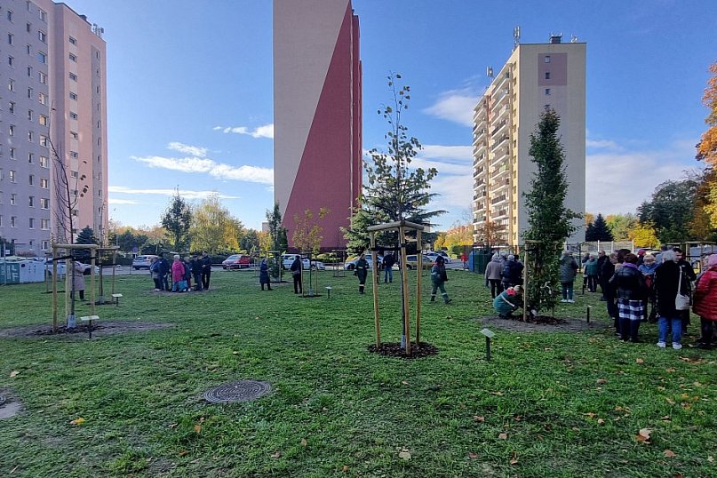 Sadzenie drzew w Parku Grody Leszczyńskie