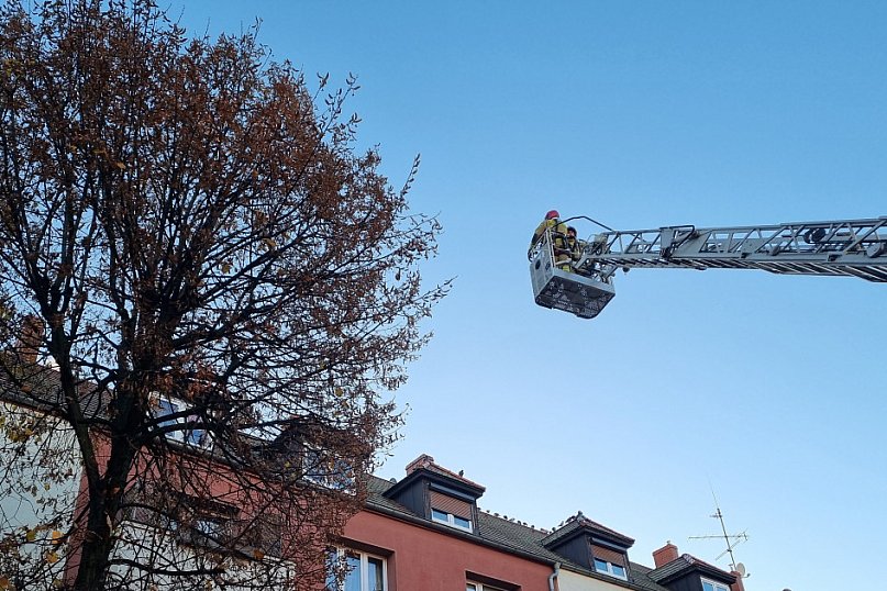 Trzy wozy strażackie przy ul. Dąbrowskiego