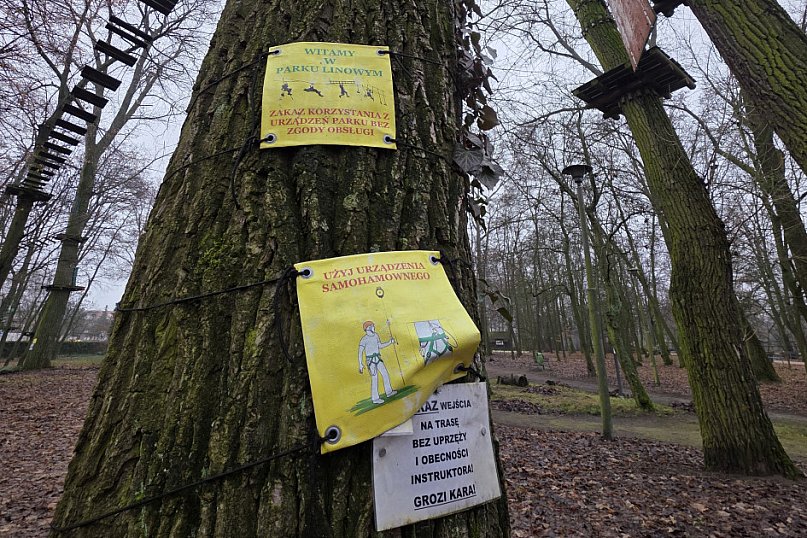 Park linowy Tarzan w MiniZoo w Lesznie