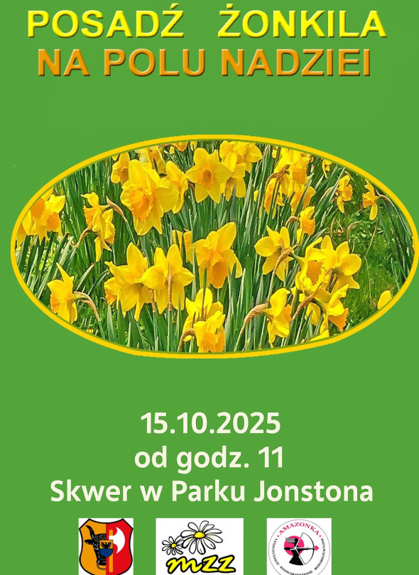 Sadzenie żonkili - Pole Nadziei