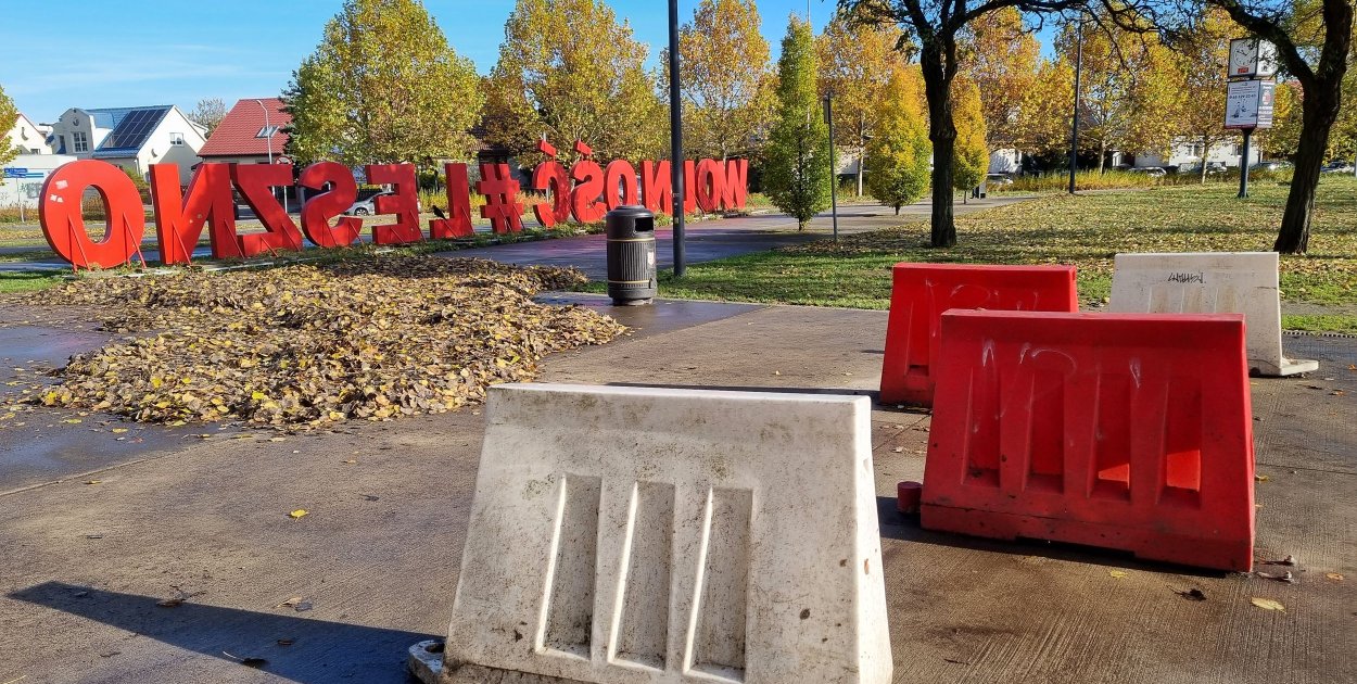 jrs, fot. Justyna Rutecka-Siadek