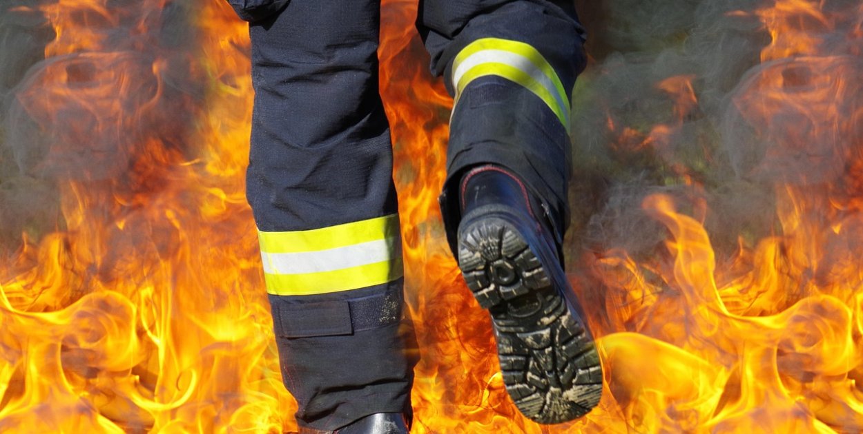 pixabay.com Licencja: https://pixabay.com/pl/service/license