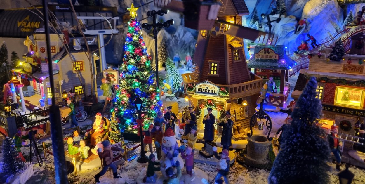 jrs, fot. J. Rutecka-Siadek