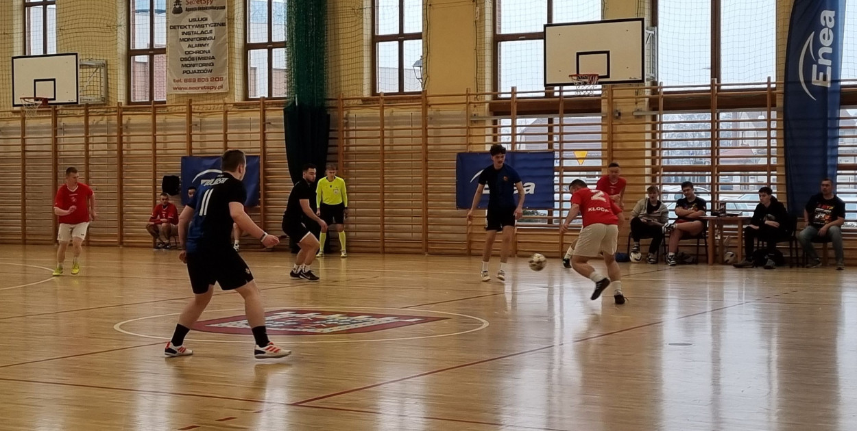 Weekend z WOŚP w Rydzynie. Na finał nie brakowało atrakcji (zdjęcia, film)