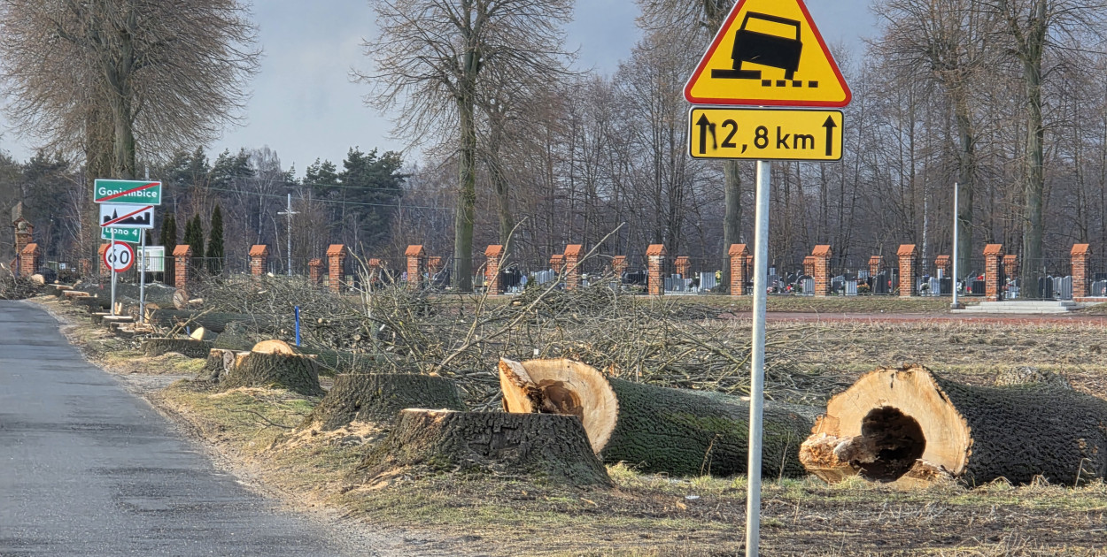 Wycinka zakończona. Pod piłę trafiło ponad 300 drzew (zdjęcia)