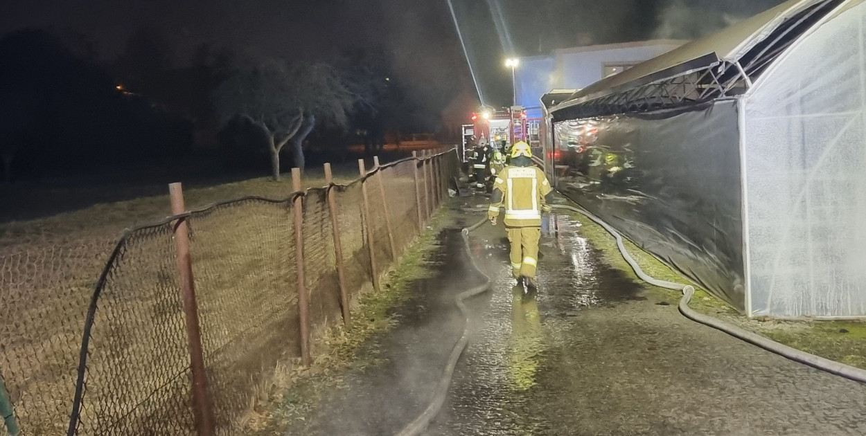 Pożar w kotłowni w ogrodnictwie. W akcji 7 zastępów straży (zdjęcia, film)