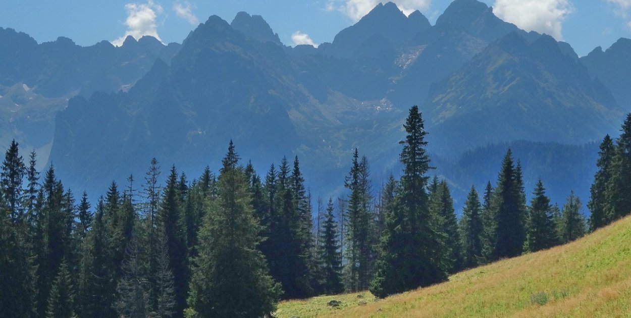 Rodzinne wakacje na Podhalu: moc atrakcji dla dorosłych i dzieci