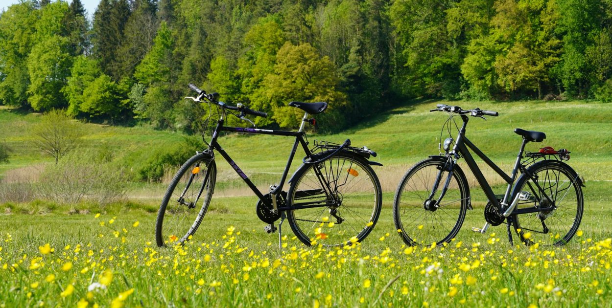 Na co zwrócić uwagę przy wyborze roweru trekkingowego damskiego? 6 parametrów