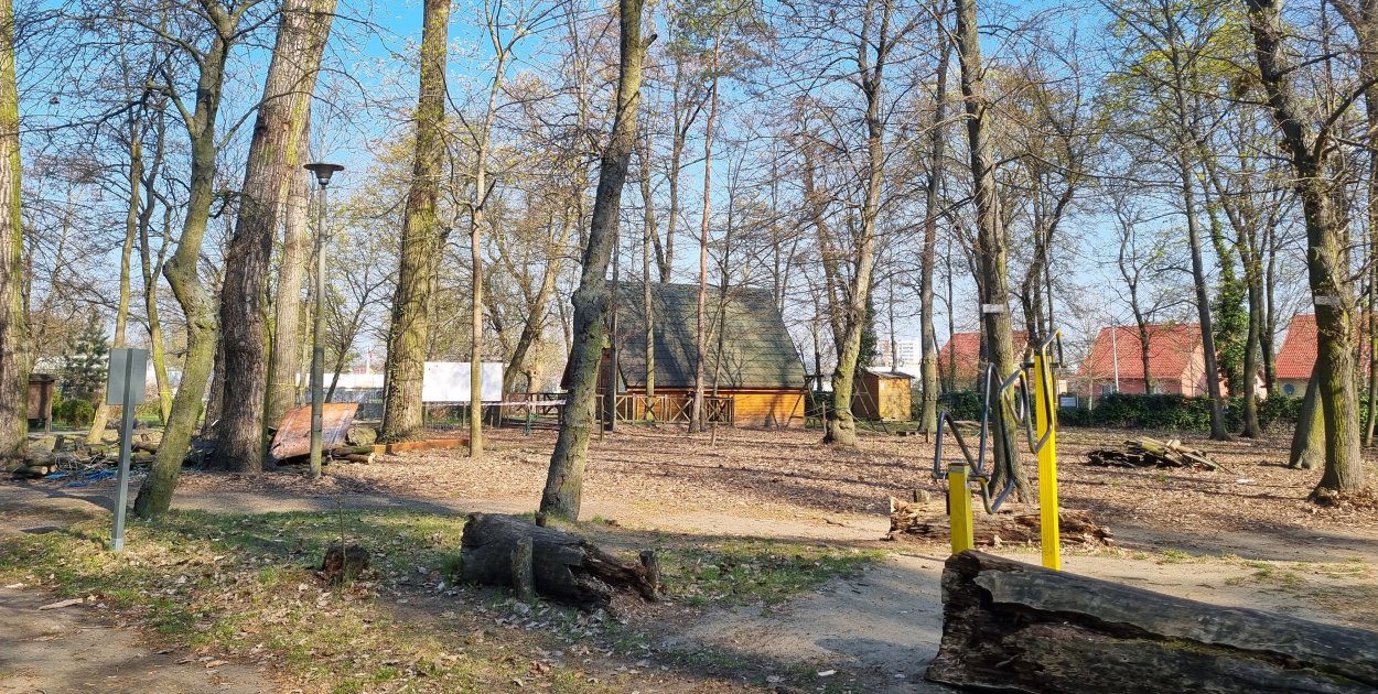 Tak wygląda koniec Tarzana w Parku 1000-lecia (zdjęcia)