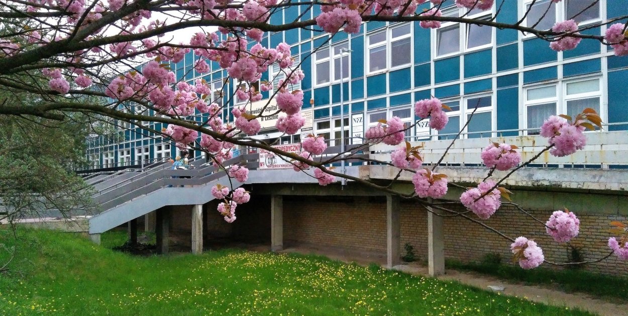 Co dalej z odzwiedzinami pacjentów w szpitalu w Lesznie?